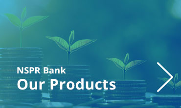 Our Products